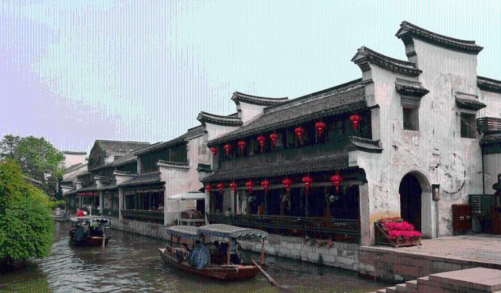 时尚小鸡救援